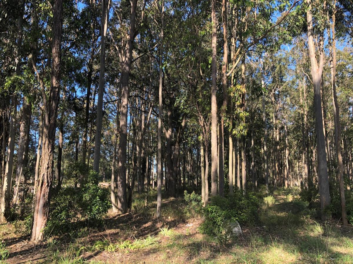 Australian Motor Home Tourist Park Twelve Mile Creek Karuah Bagian luar foto